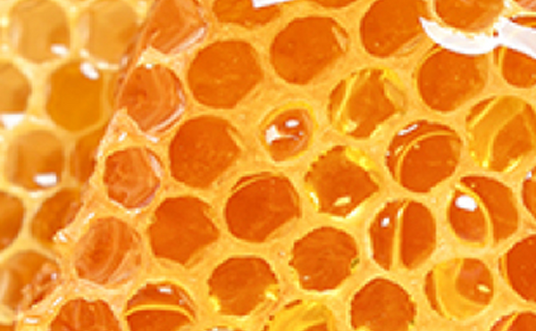 Organic Honey