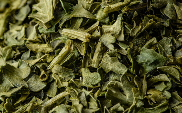 Green Tea Extract